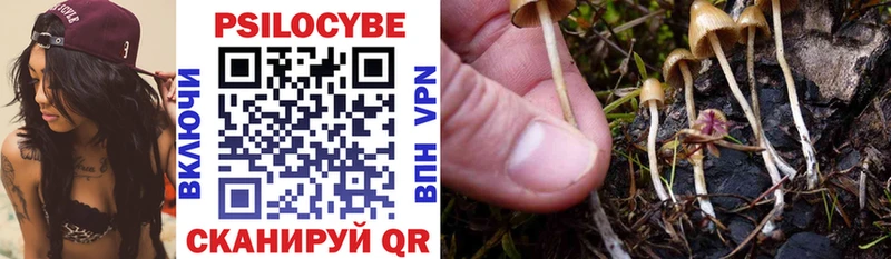 Галлюциногенные грибы прущие грибы  где найти наркотики  Оха 